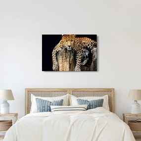Kép - Gepárd (90x60 cm)