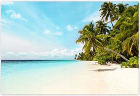 Poszterek 185x125 Trópusok Tájkép Pálmafák