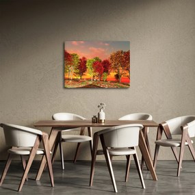 Kép - Színes fák (70x50 cm)