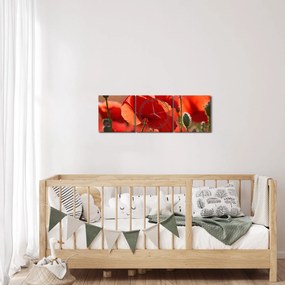 Pipacsok képe (órával) (90x30 cm)