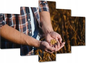 Képek 150x105 Egy marék mustármag