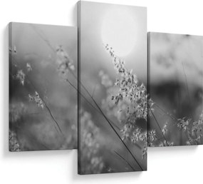 Kép - Őszi rét (90x60 cm)