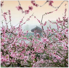 Poszterek 100x100 Japán Orient Buddhizmus