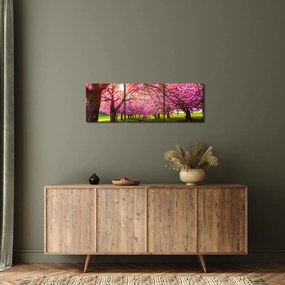 A virágzó cseresznye képe, Hurd Park, Dover, New Jersey (órával) (90x30 cm)
