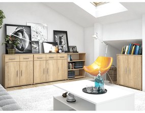 RESITA TYP 2 szekrény, sonoma tölgy