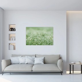 Kép - Harmat a fűben (90x60 cm)