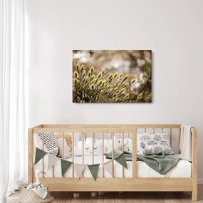 Kép - Zöld növényzet (90x60 cm)