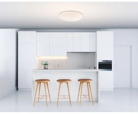 GLOBO 41003-20 - LED Menyezeti lámpa TARUG 1xLED/20W/230V