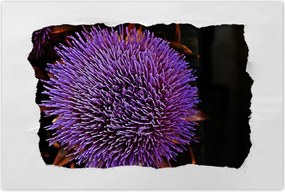 Poszterek 90x60 Virág Lila Csipkebogyó