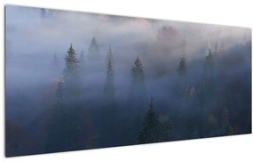 Kép - erdő a ködben, Carpathians, Ukraina (120x50 cm)