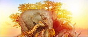 Afrikai állatok képe (120x50 cm)