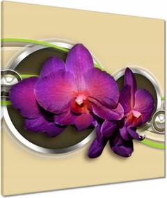 Vászonkép 60x60 Orchideák