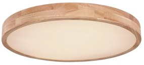 Globo 41745-48 - LED Dimmelhető mennyezeti lámpa RAINER LED/48W/230V + távirányító