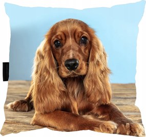 Spániel Kutyapárna 40x40 Ajándéknak Is tökéletes