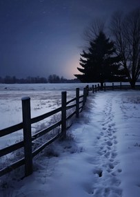 Poszter 64x90cm Csendes Téli Fény