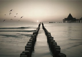 Flizelin fotótapéta Tenger naplemente móló madarak 416x254 +ragasztó