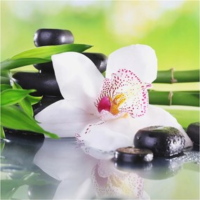 Fotótapéta Flizelin Dekoratív Hálószoba A természet nyugalma 250x250 Ragasztó