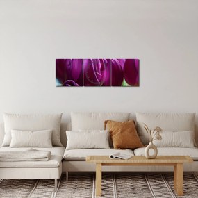 Tulipán képe (órával) (90x30 cm)