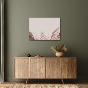 Kép - Szárított fű (70x50 cm)