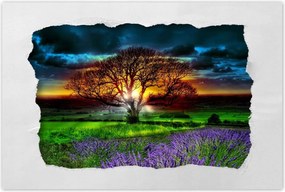 Poszterek 60x40 Az élet fája