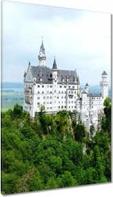 Festmények 80x120 Neuschwanstein kastély