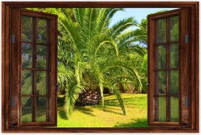 Poszterek 60x40 Trópusok Tájkép Pálmafák