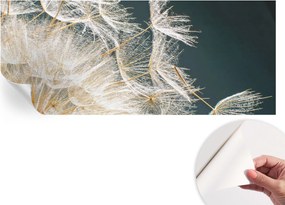 Öntapadós tapéta Fali furnér 3D Pitypang könnyedség 250x104 cm