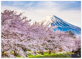 Kép - Japán tavasszal (70x50 cm)