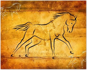 Poszterek 50x40 Galoppozó ló