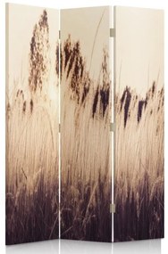 Gario Paraván Magas füvek szepia színben Méret: 145 x 170 cm, Kivitelezés: Forgó paraván 360°