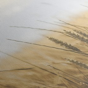 A gabona képe (150x105 cm)