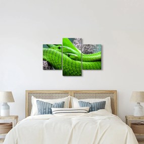 Zöld kígyók képe (90x60 cm)