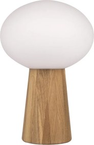 Markslojd PATER 108409 Asztali lámpa 1x60W/E27 IP20