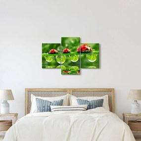 Kép - A hét nap napfénye (90x60 cm)