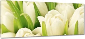 Vászonkép 100x40 Finom tulipánok