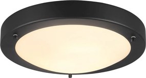 Trio CONDUS 6801011-32 Plafonlámpa 1x60w/e27 ip44