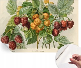 Mosható öntapadós fotótapéta étkezőbe Klasszikus málna 104x70 cm