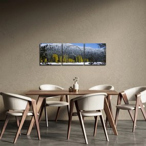 Kép - havas hegyek télen (órával) (90x30 cm)