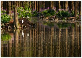 Poszterek 100x70 Tájkép Látvány