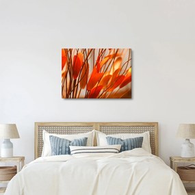 A szirmok képe (70x50 cm)