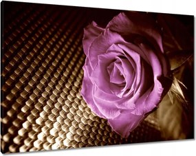 Vászonkép 100x70 Rózsa Lila és szépia