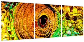 Kép - Kaméleon (órával) (90x30 cm)