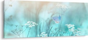 Kép - Pillangó kékben (120x50 cm)
