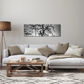 Kép - fekete fehér fa (órával) (90x30 cm)