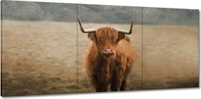 Vászonkép 150x70 Mint szarvasmarhák Szarvak