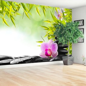 Fotótapéta Bamboo és orchidea 104x70 cm