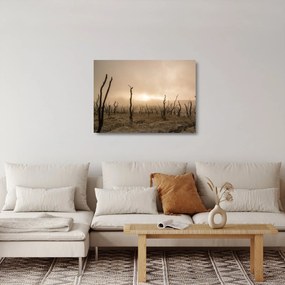 Kép - Csupasz fák (üvegen) (70x50 cm)