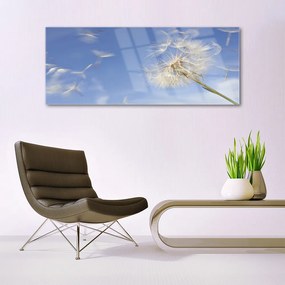 Akril üveg kép pitypang növény 100x50 cm