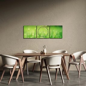Kép - harmatos fű (órával) (90x30 cm)