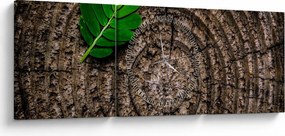 Kép egy levél a fatörzsön (órával) (90x30 cm)